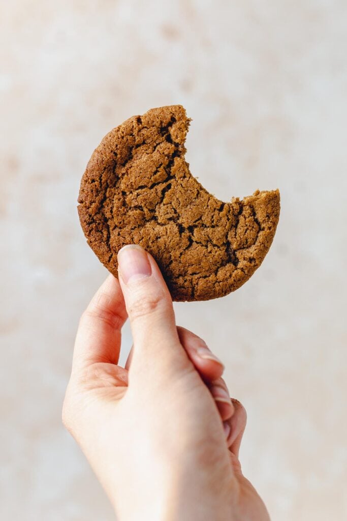 A hand holding out a ginger cookie with one bite taken out of it.