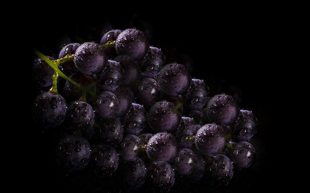 A close-up image of a bunch of black grapes isolated on a dark bacgkround.