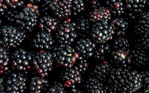 25 Black Fruits - The Ultimate List - My Vegan Minimalist