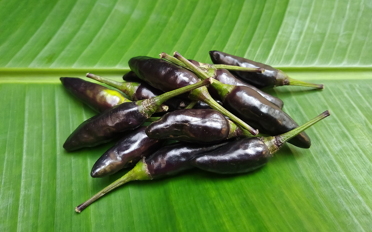 Black Hungarian Peppers placed on a large banana leaf.