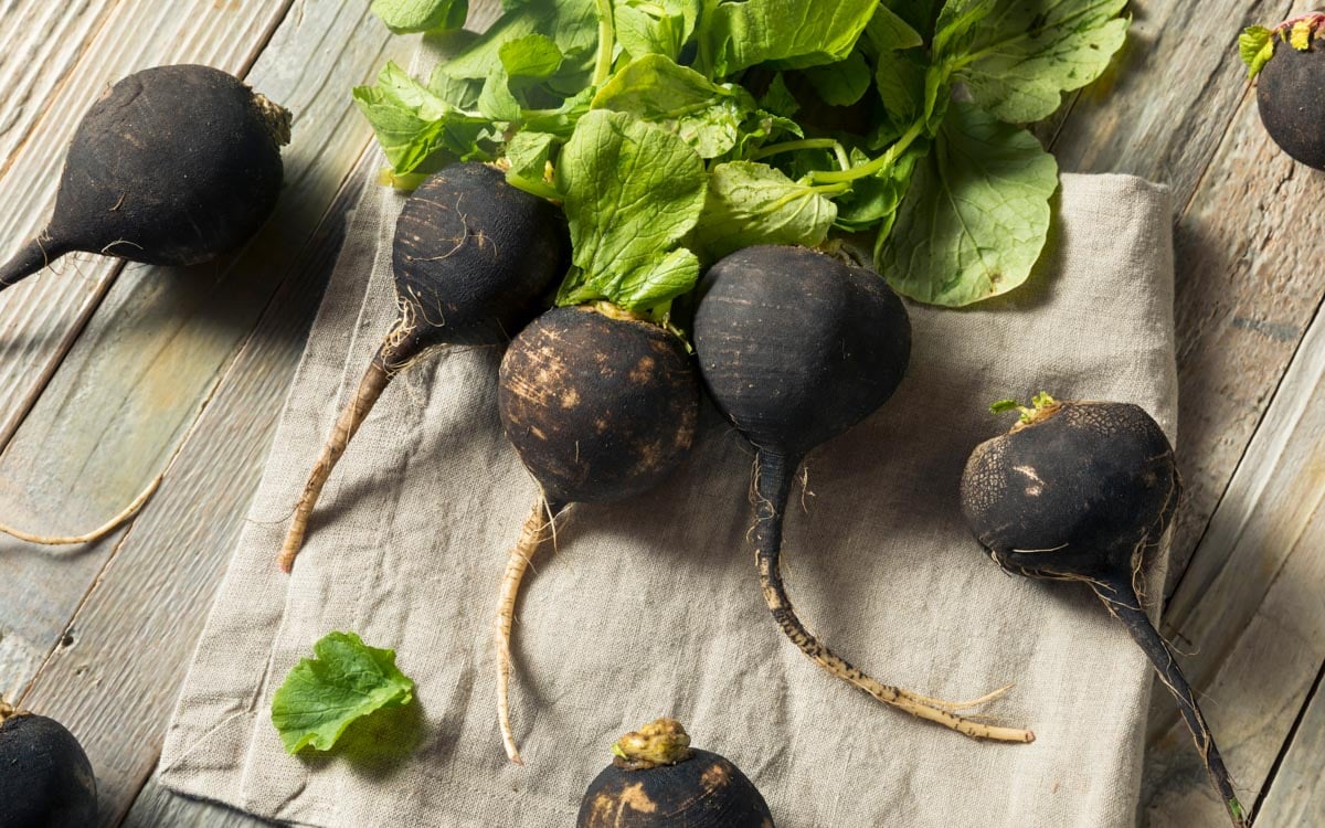 Black radishes placed on a napkin on a wooden table.