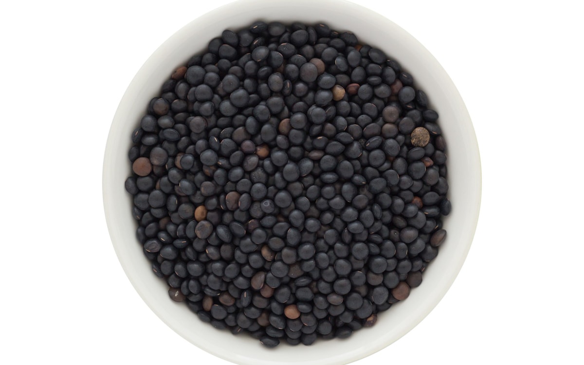 A small bowl featuring black beluga lentils isolated on a white background.