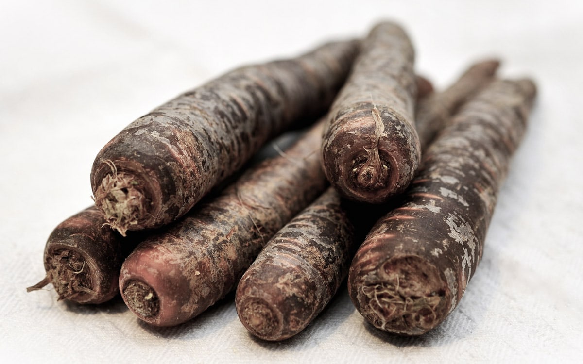 A side-view of a bunch of black carrots placed on a light piece of linen.