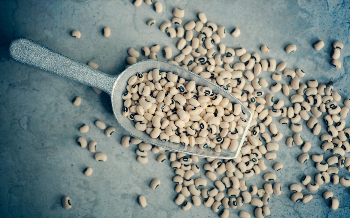A scoop of black-eyed peas on a blue toned flat background.