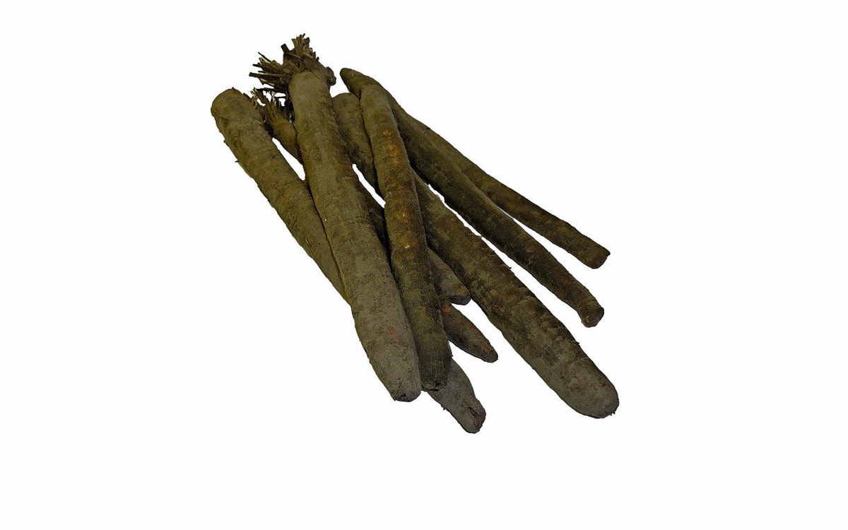 Black Salsify root vegetable isolated on a white background.