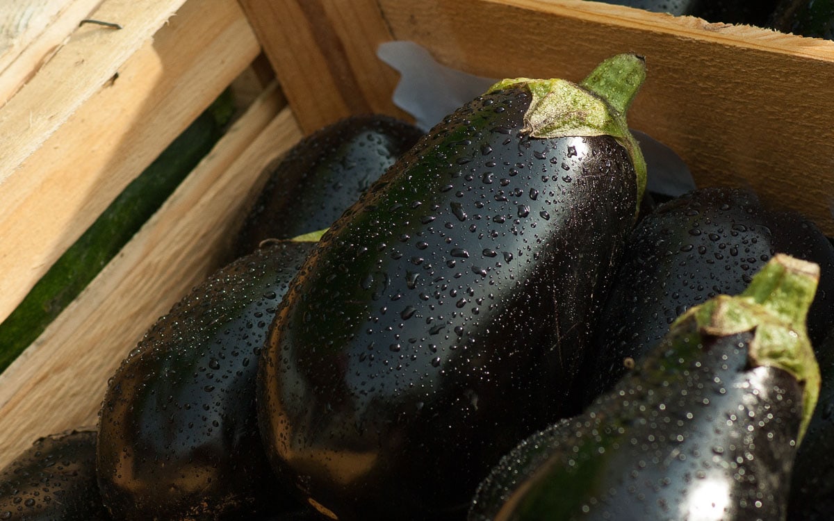 Black aubergines placed in a wooden crate.