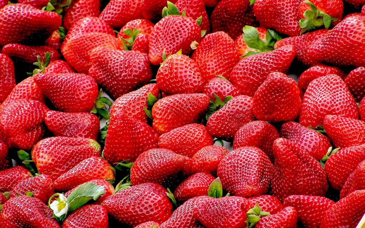 A close-up image of many strawberries, some with leaves attached. 
