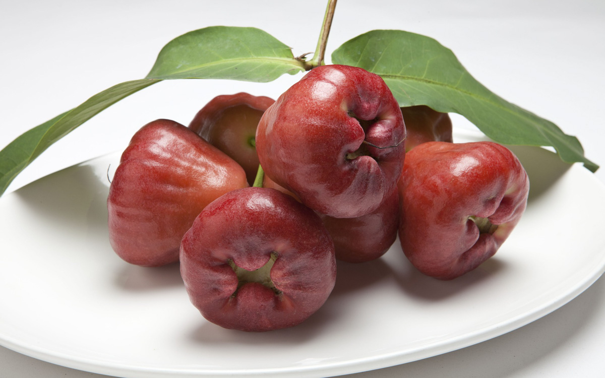 A branch of Java apples placed on a large white plate. 