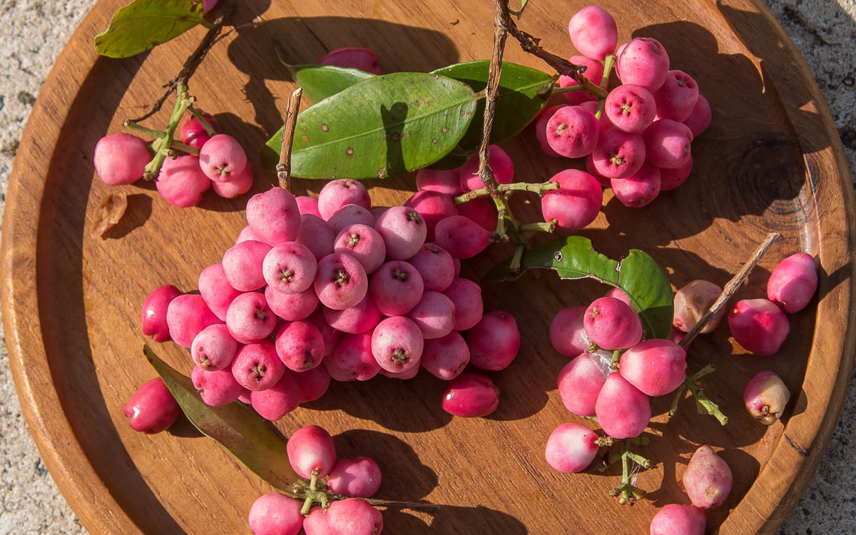 Lilly Pilly Berries placed on a round wooden tray. 