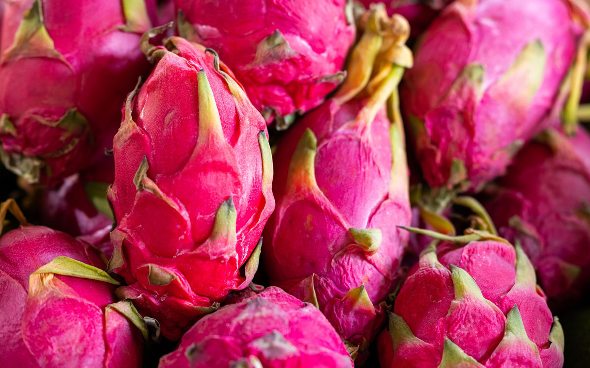A close-up image of many pink pitaya fruits placed next to each other.