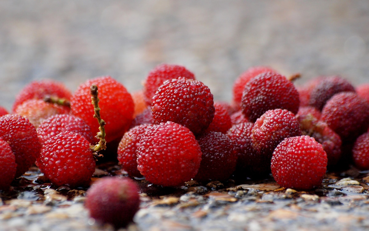 Chinese bayberries on a flat brown surface.