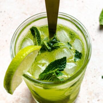 cropped-Thermomix-Mojito-Cocktail-11.jpg