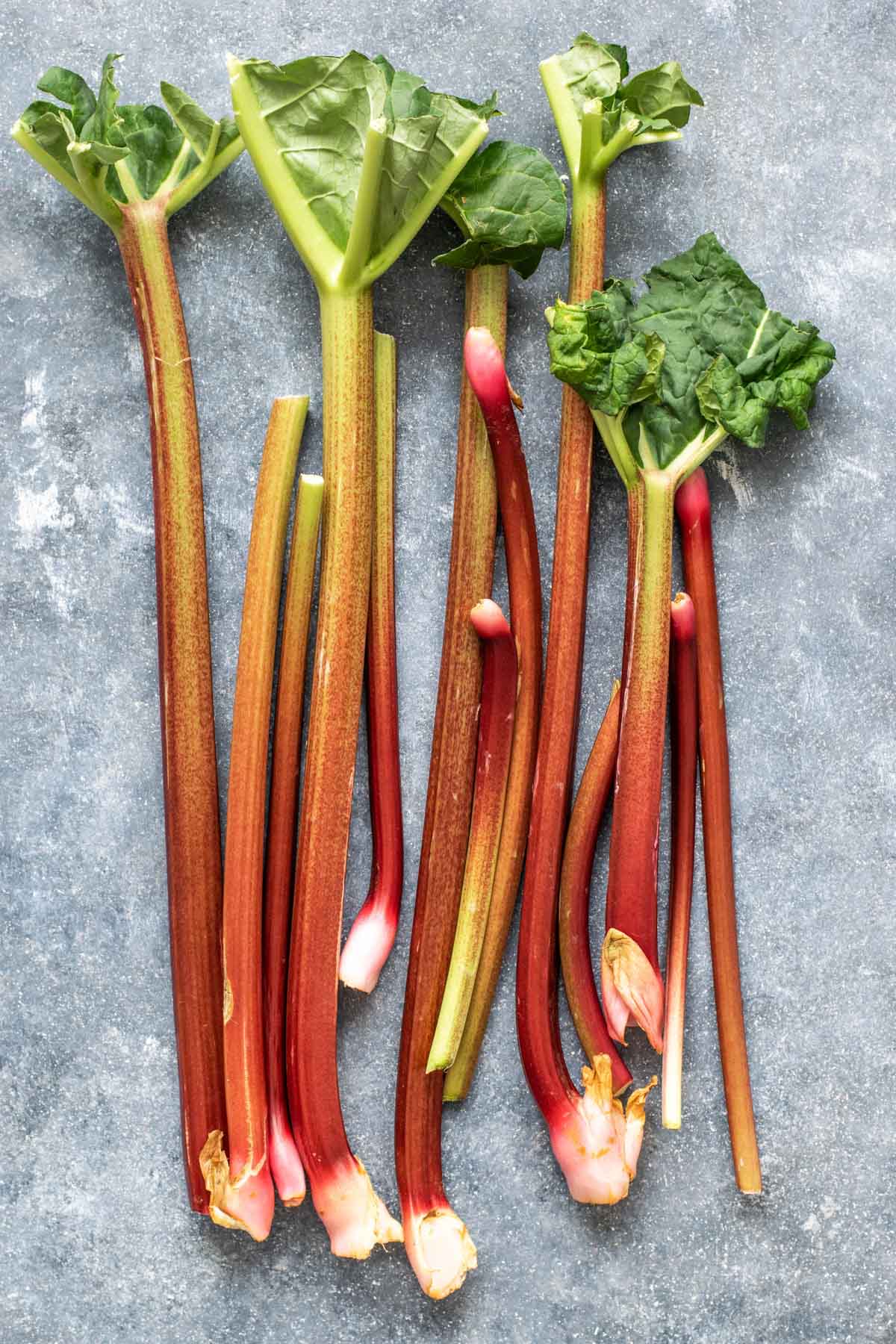 Fresh rhubarb stalks with leaves slightly cut off on a grey background.