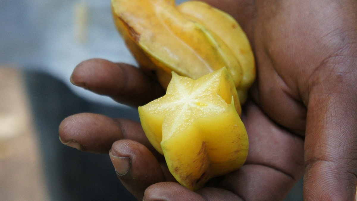 A hand holding out carambola or star fruit.