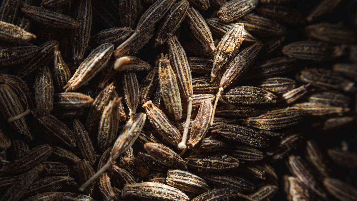 A close-up image of black cumin seeds. 