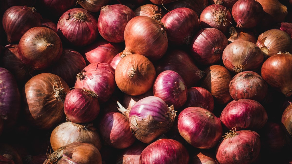 Many red and brown onions placed next and on top of each other.