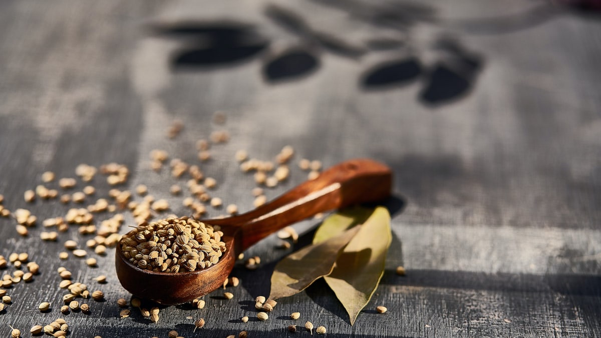 A wooden spoon containing coriander seeds placed on a dark wooden background.