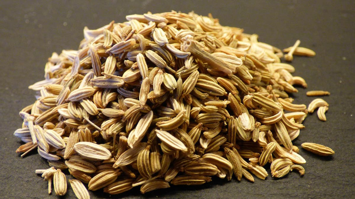 A close-up image of fennel seeds. 