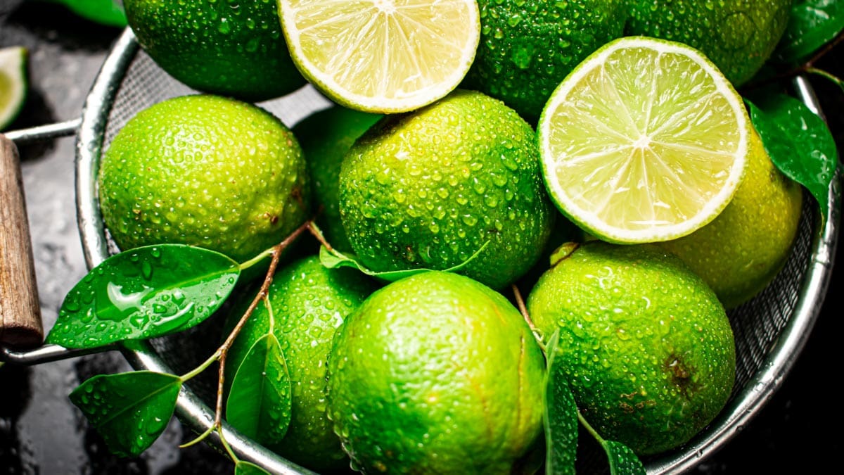 Fragrant lime with leaves in a colander.
