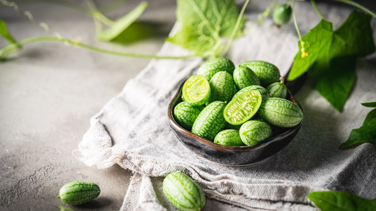 Cucamelon, Melothria scabra in a bowl. 