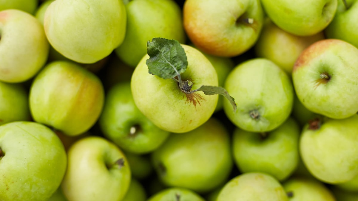 Fresh green apples on the wooden boxes.