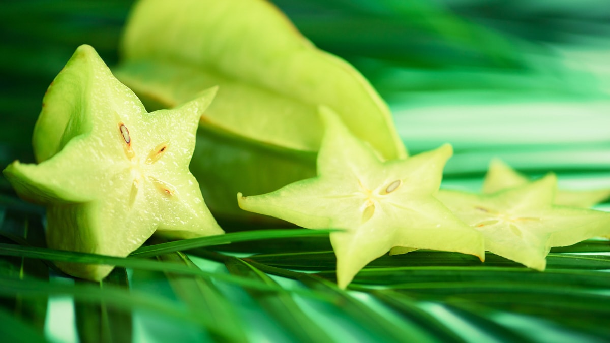 Exotic star fruit or averrhoa carambola over tropical green palm leaves on turquoise background. 