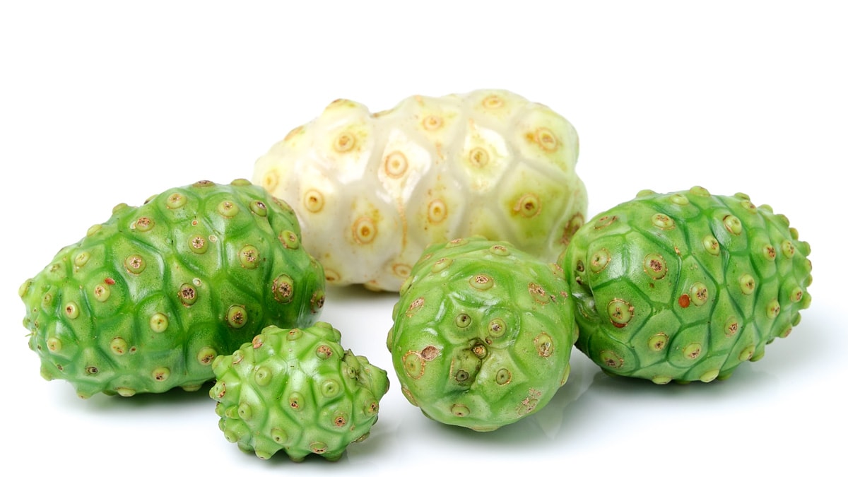 Exotic fruit noni on a white background.