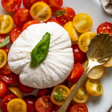 cropped-The-BEST-Vegan-Burrata-Cheese-with-Cashews-Dairy-Free-2.jpg