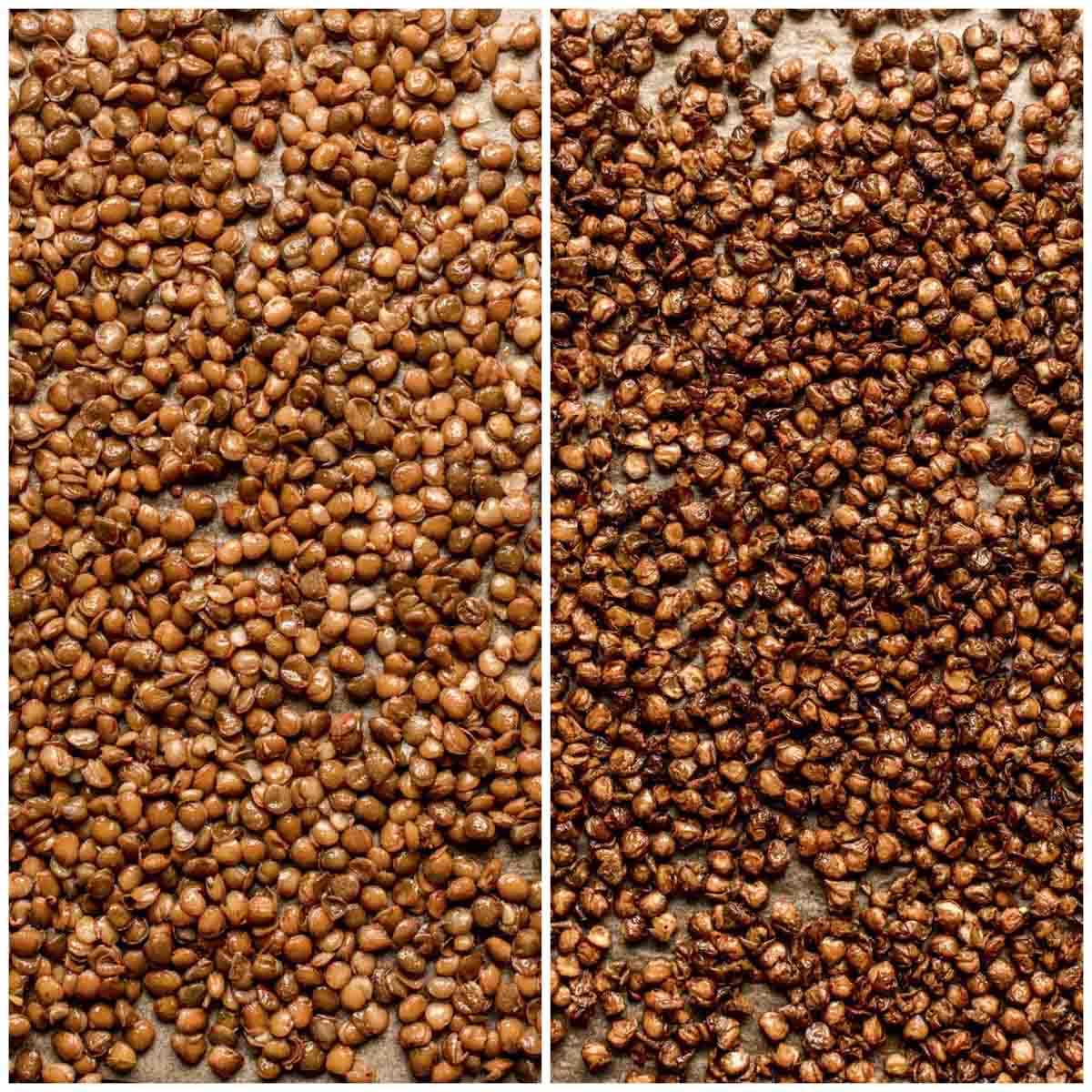 Side-by-side comparison of cooked and roasted lentils.