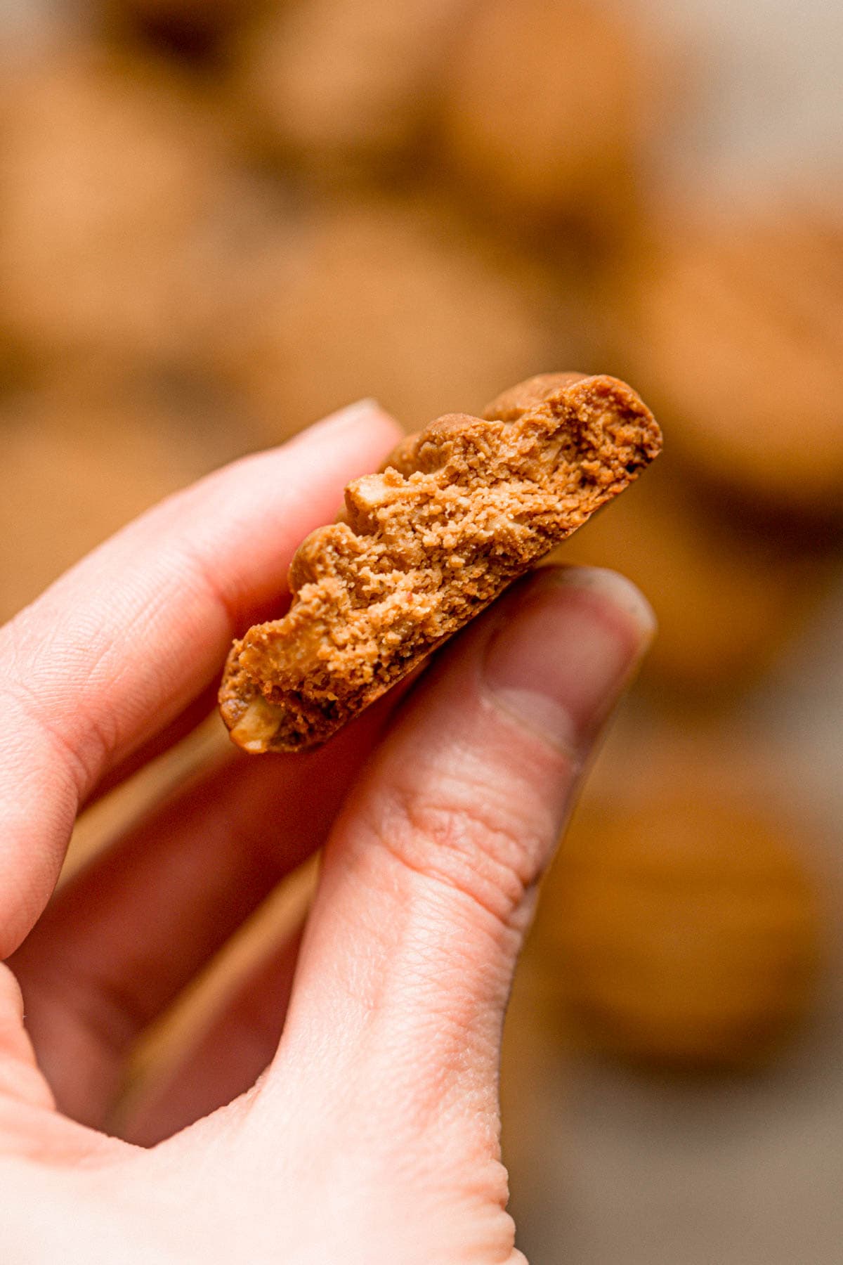 A hand holding a 2 ingredient peanut butter cookie.