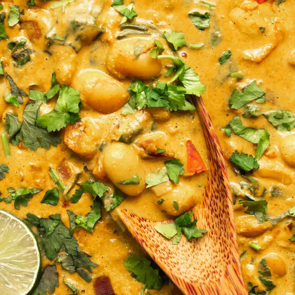 Easy Butter Bean (Lima Beans) Curry with Spinach-image