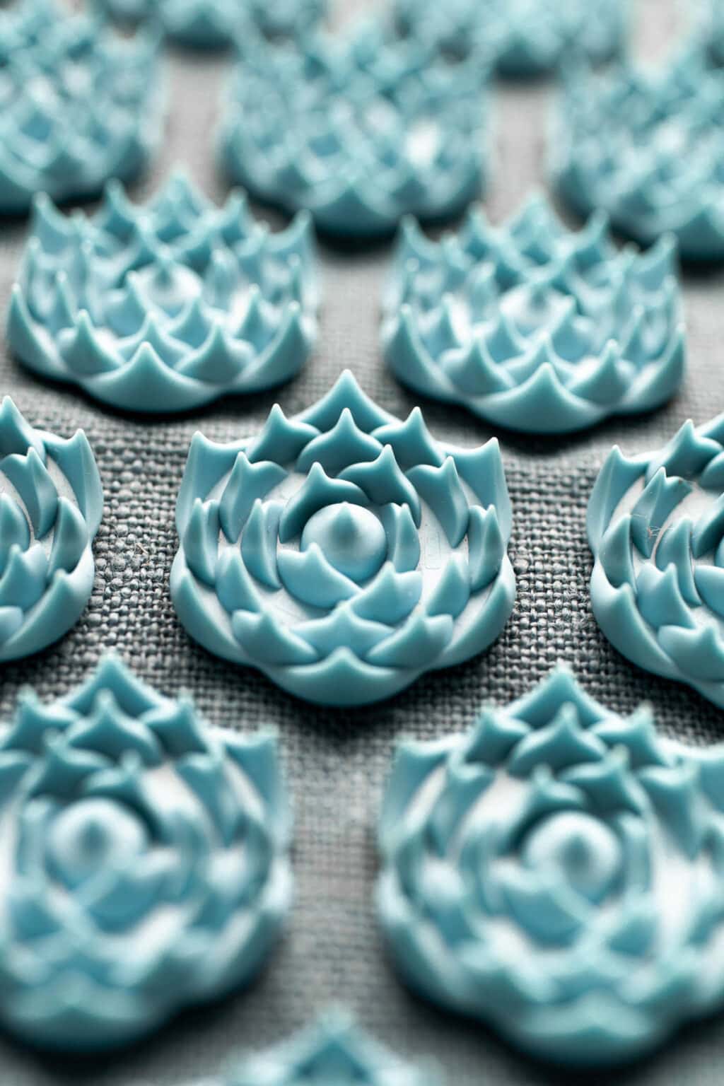 InDepth Pranamat Review Acupressure Mat Set + Discount My Vegan