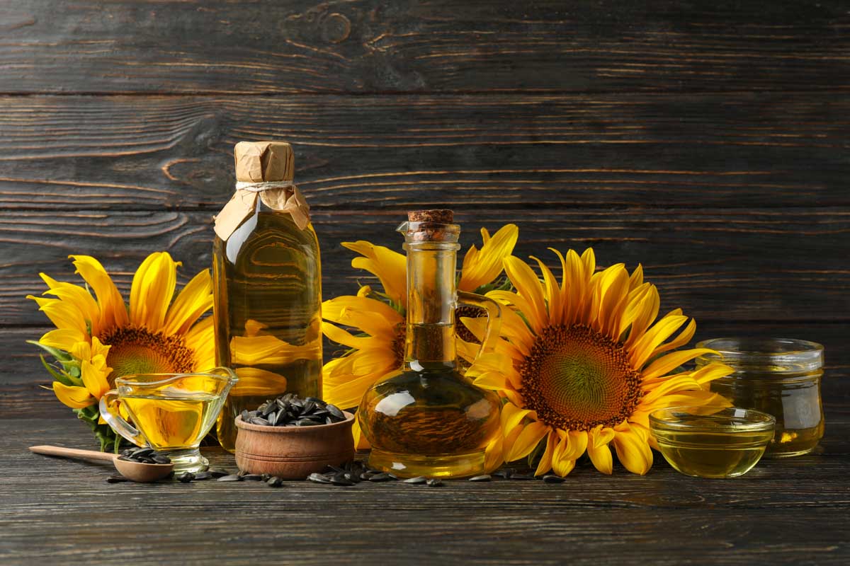 Composition with sunflower, oil and seeds on wooden background