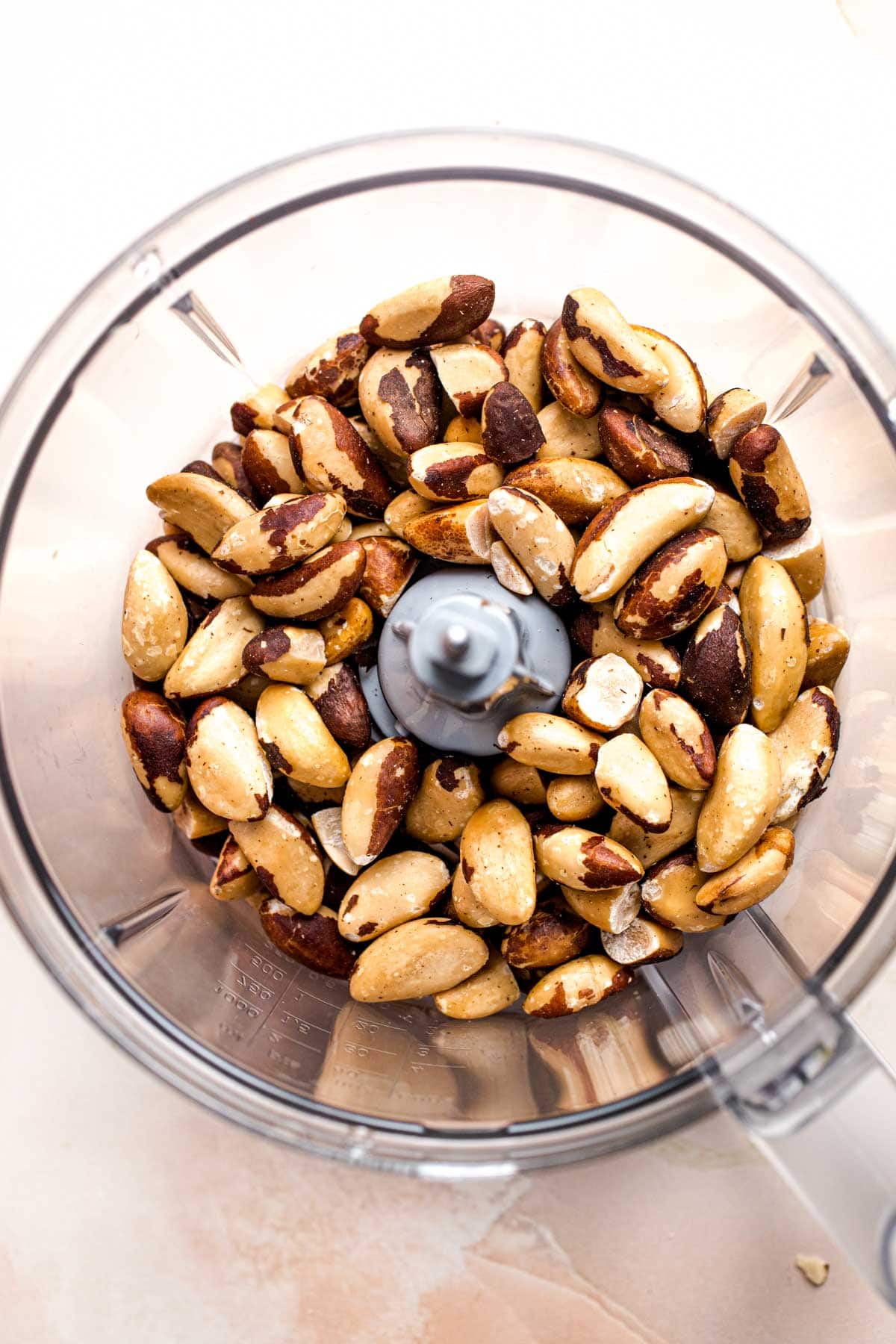 Roasted Brazil nuts in a food processor.