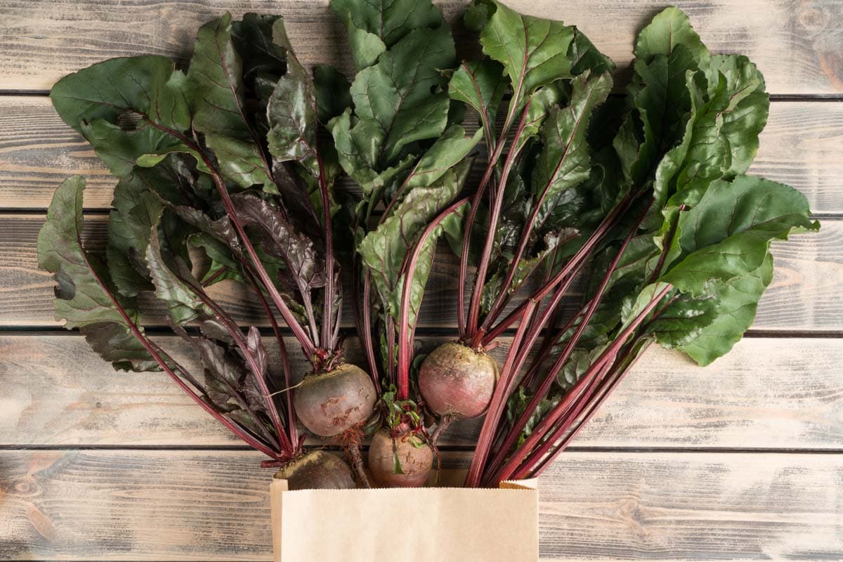 Bunch of fresh ripe beets with long green haulm on faded wooden table, top view. 
