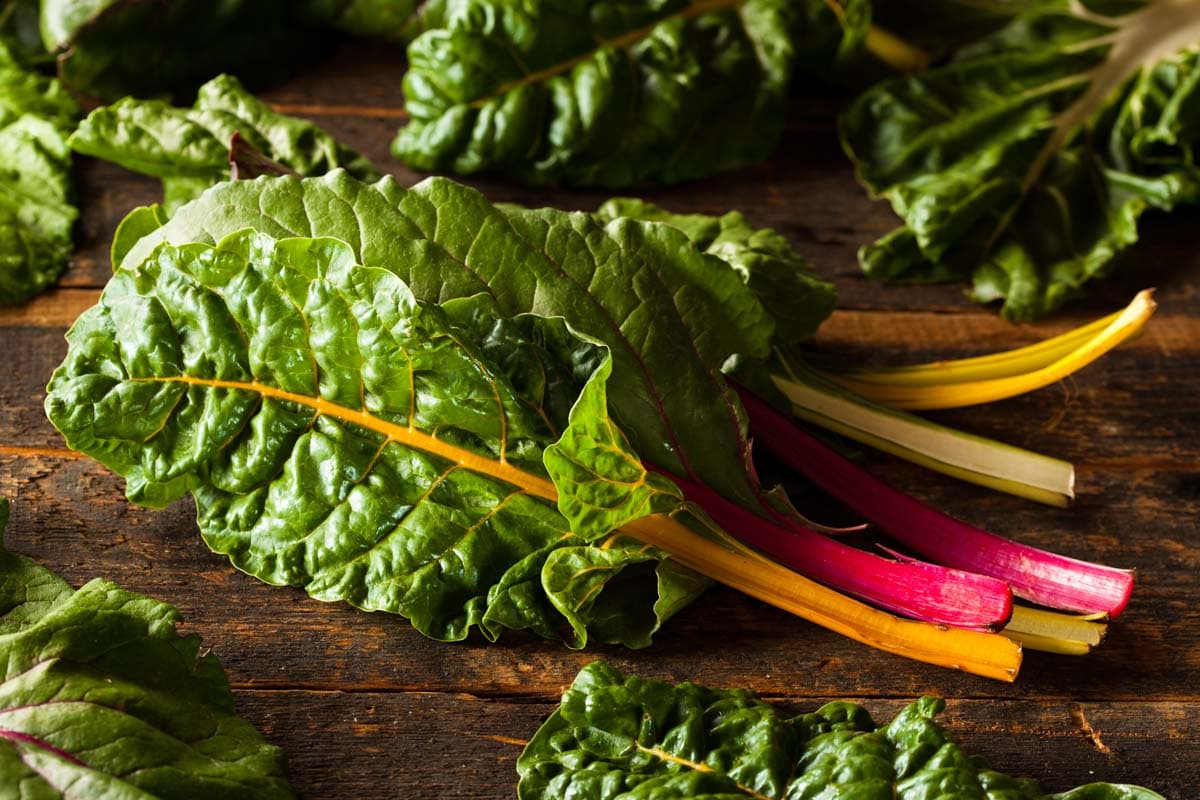 Raw Organic Rainbow Swiss Chard on a Background.