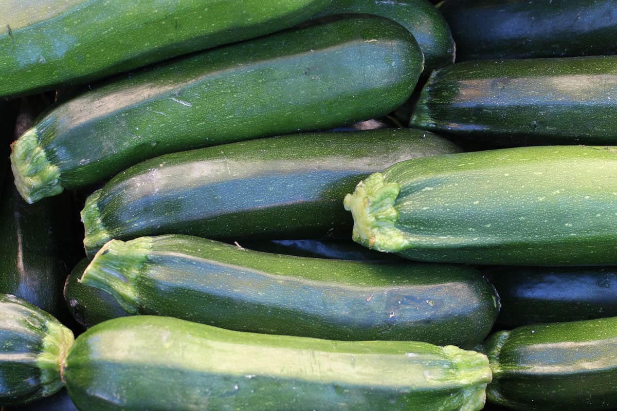 Many fresh courgettes from an overhead view.