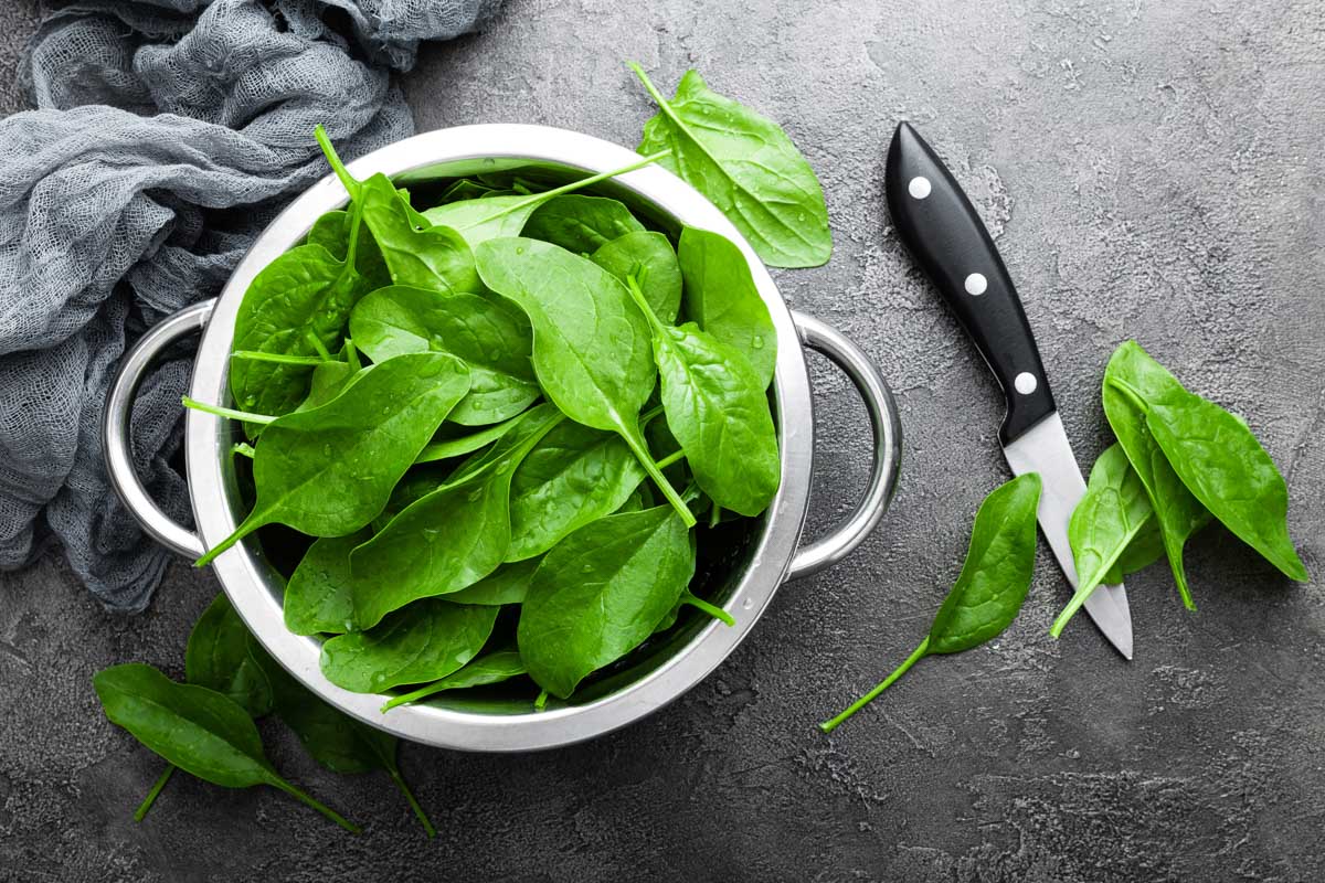 Spinach in a colander. 