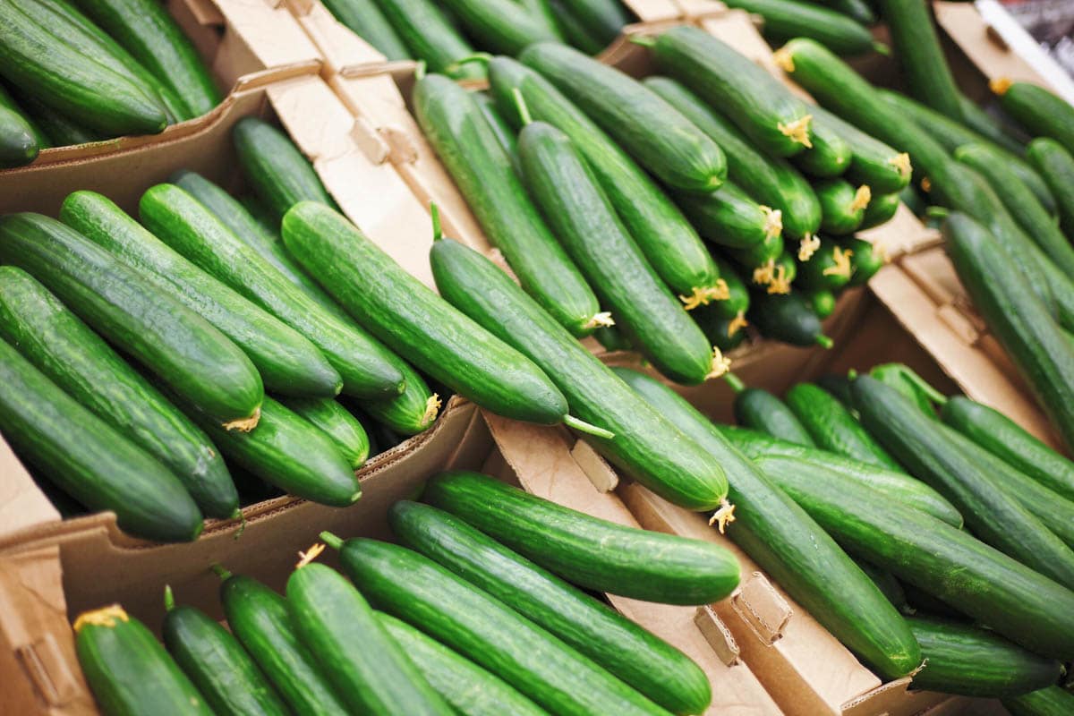 Cucumbers in brown cardboard boxes.